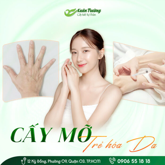 cay mo tre hoa da