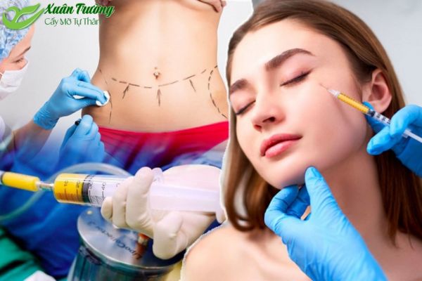 Quy trình lấy và xử lý mỡ đảm bảo an toàn, giữ nguyên chất lượng tế bào.