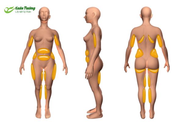 Cơ thể khỏe mạnh giúp mô mỡ dễ thích nghi và tồn tại lâu